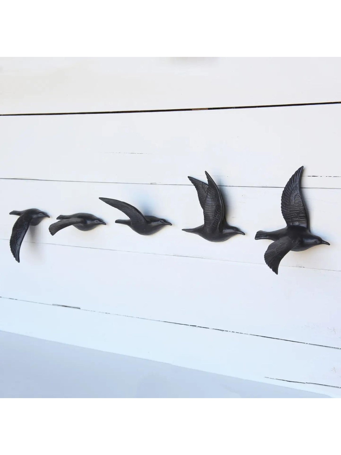 Flying Gulls - Assorted