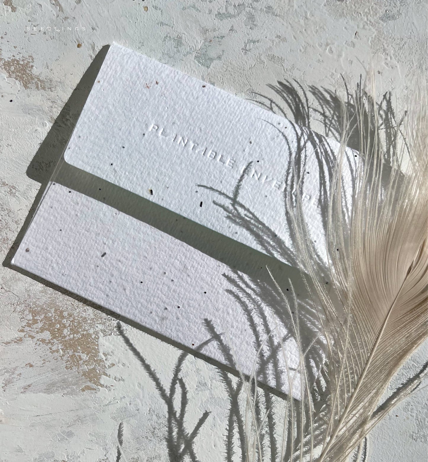 Garden Greenhouse - Birthday Card