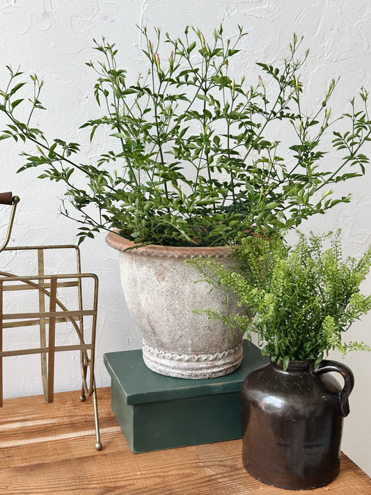 Vintage Large Planter - Pick Up Only