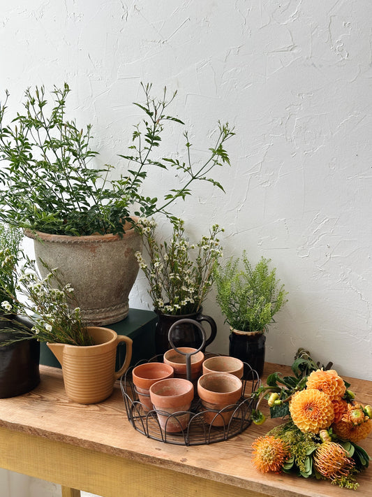 Vintage Wire Herb Caddy