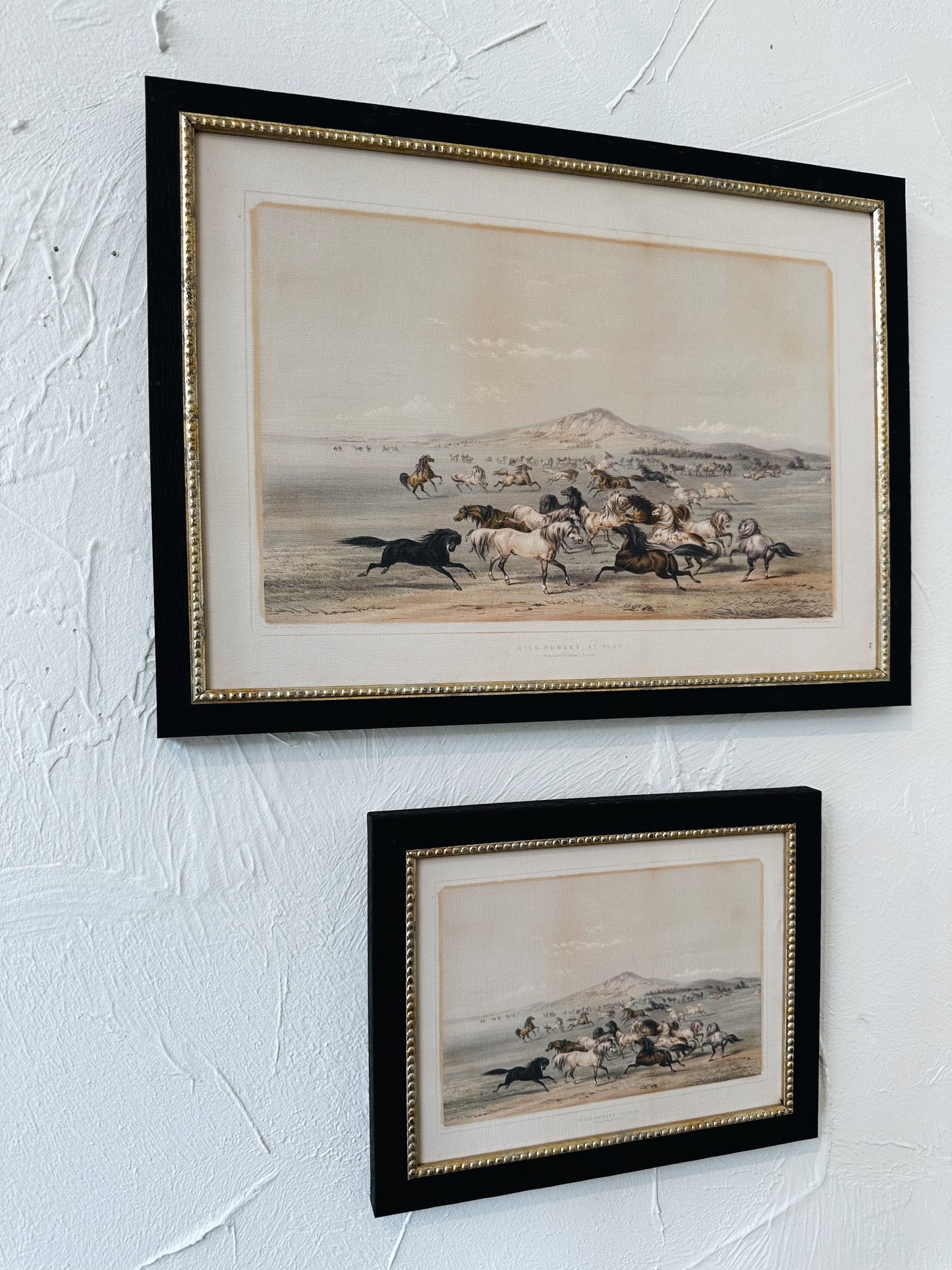 Field of Horses Framed Picture