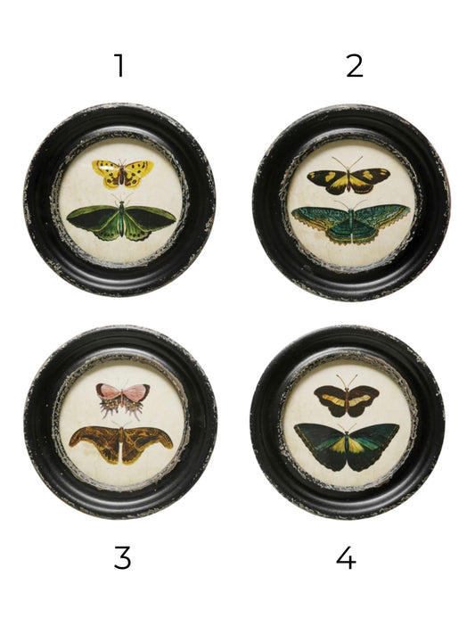Framed Wall Decor with Moths/Butterflies