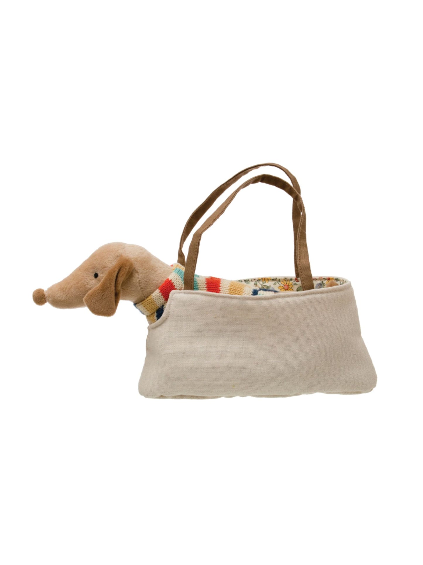 Dachshund in Sweater w/ Dog Carrier