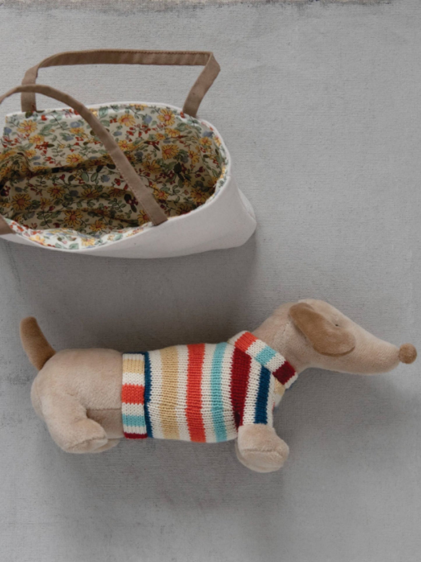 Dachshund in Sweater w/ Dog Carrier