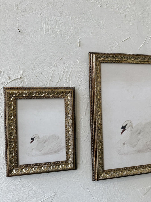 Swan Framed Picture