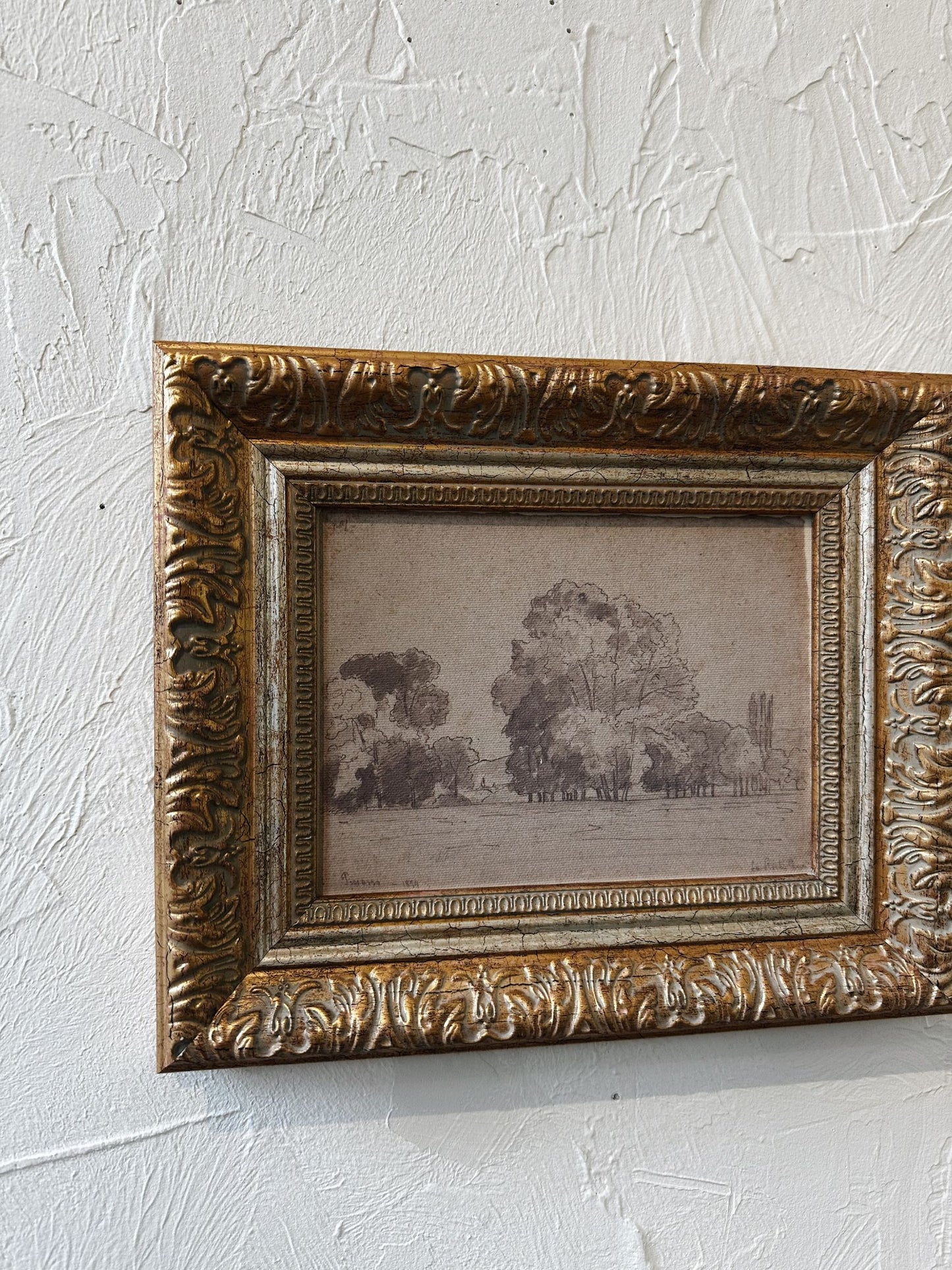 Grove of Trees Framed Picture
