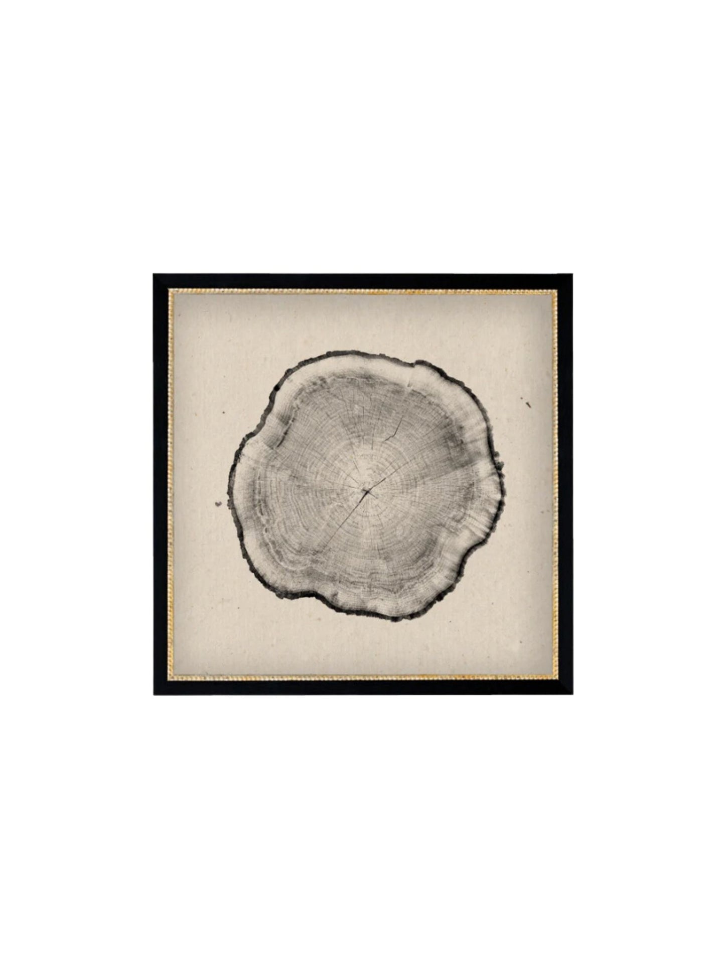 Tree Stump Framed Picture