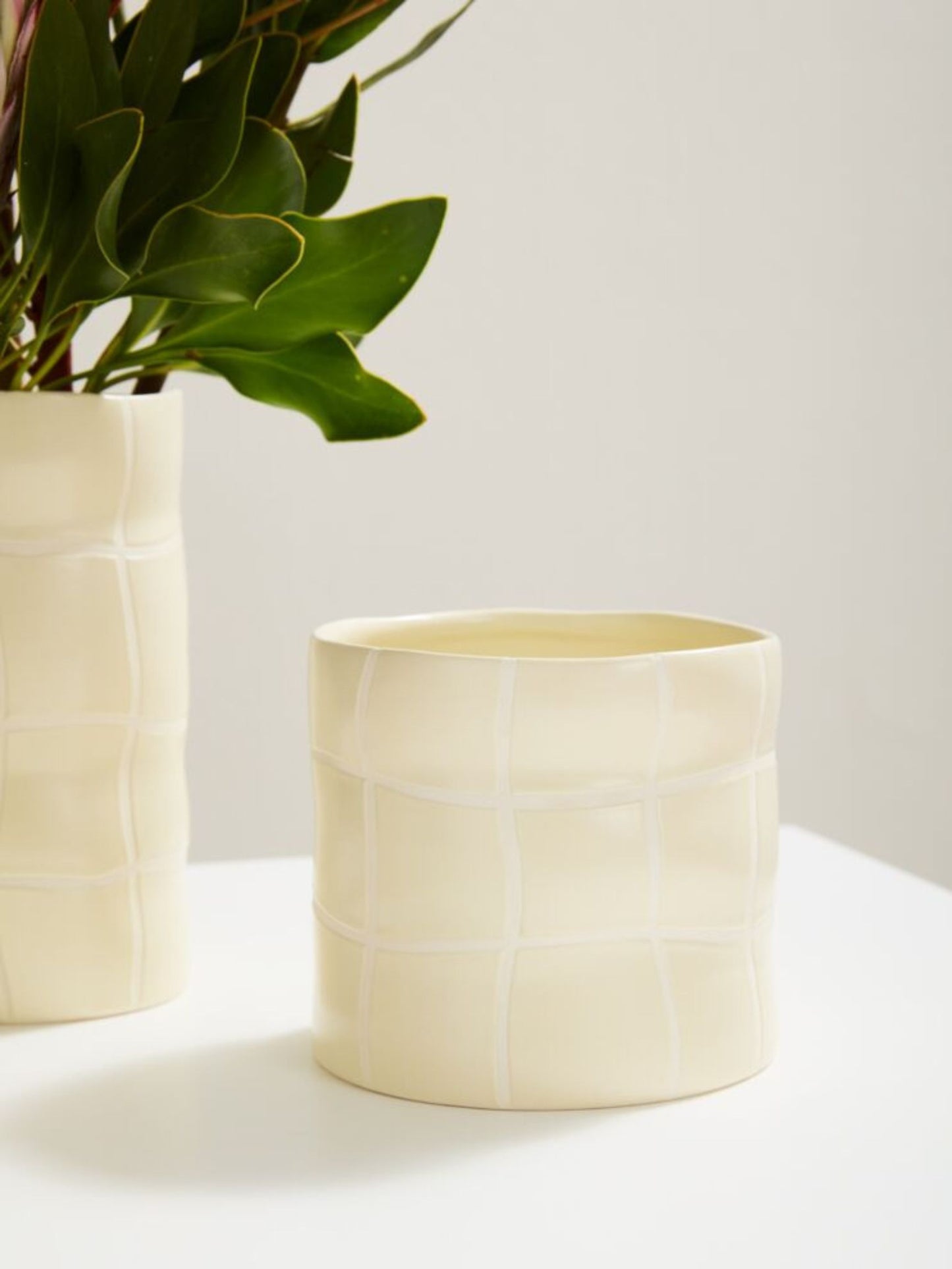 Maison Collection