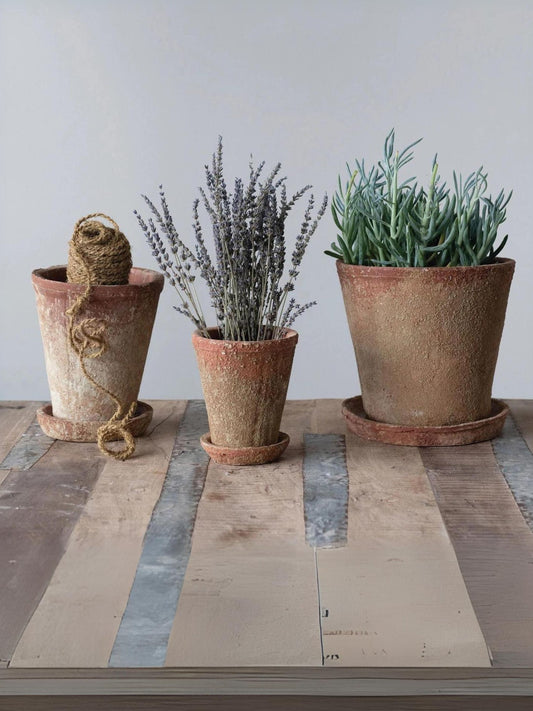 Distressed Cement Planter with Saucer - Pick Up Only