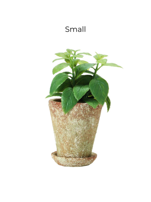 Distressed Cement Planter with Saucer - Pick Up Only