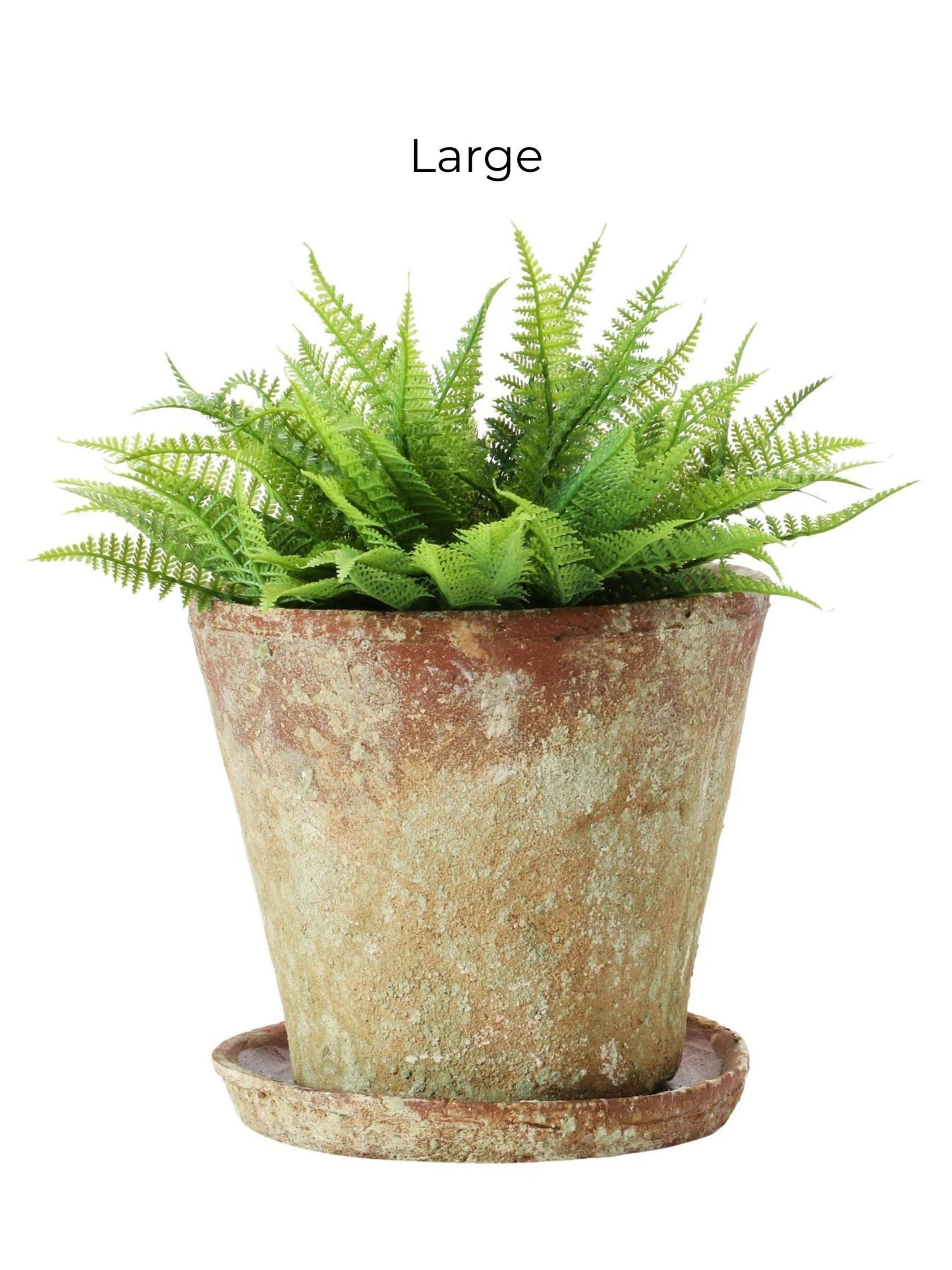 Distressed Cement Planter with Saucer - Pick Up Only