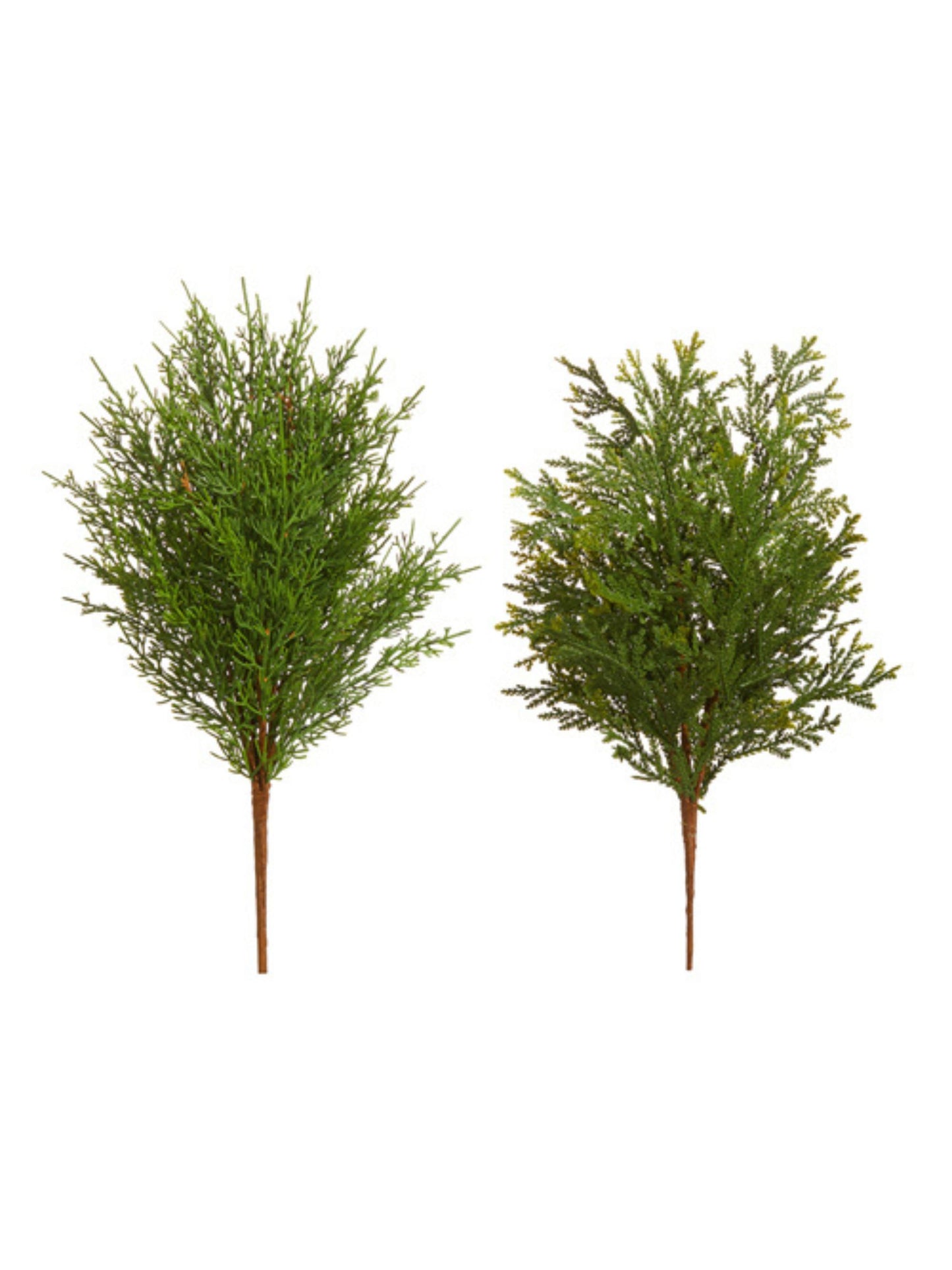 Cedar Pick