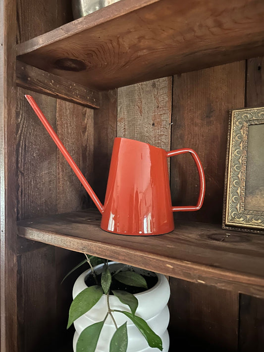 Patsy Watering Can