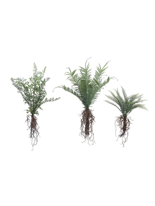 Faux Fern with Exposed Roots, 3 Styles