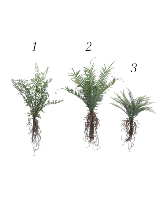 Faux Fern with Exposed Roots, 3 Styles