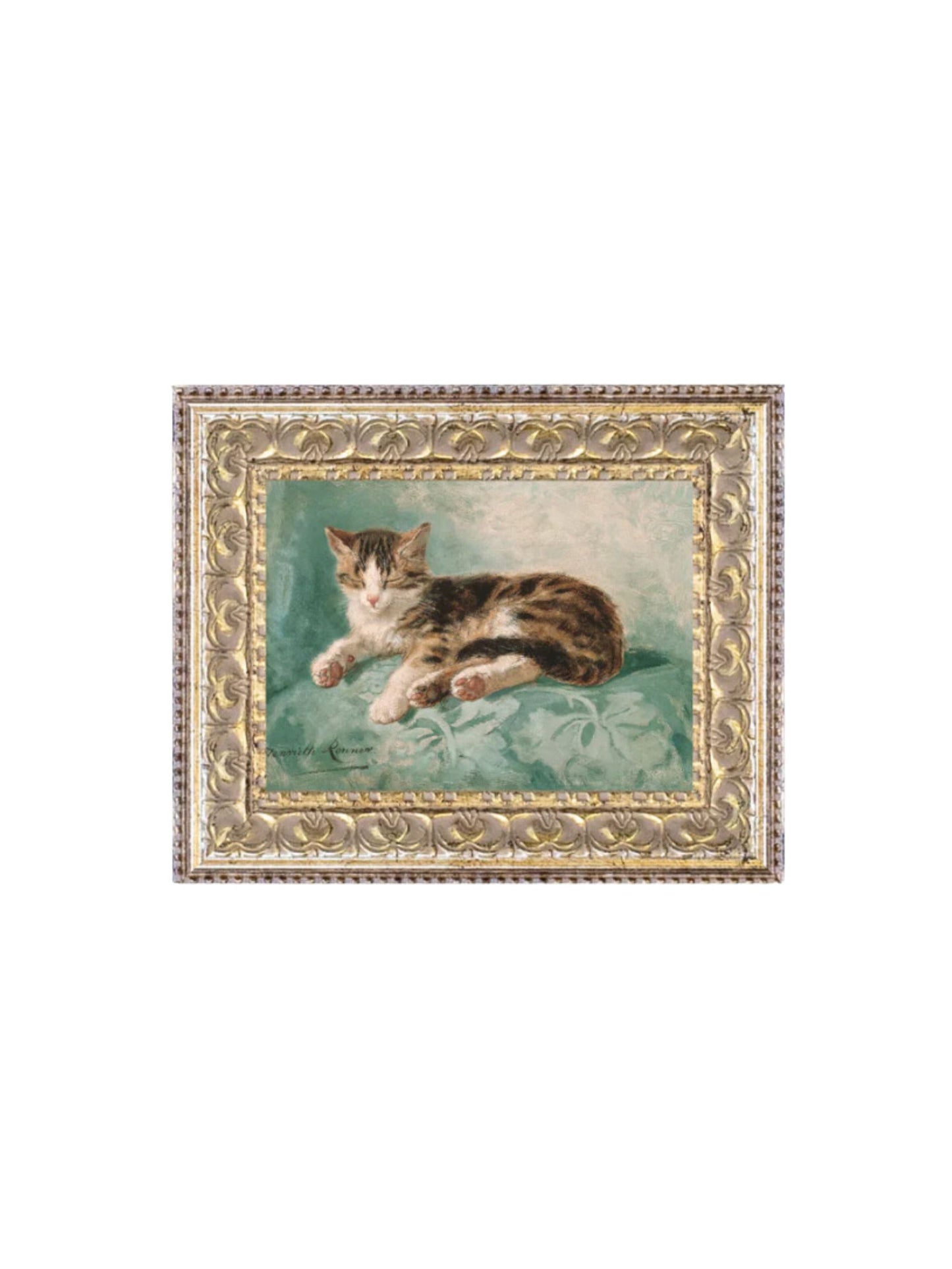 Cat Nap Framed Picture