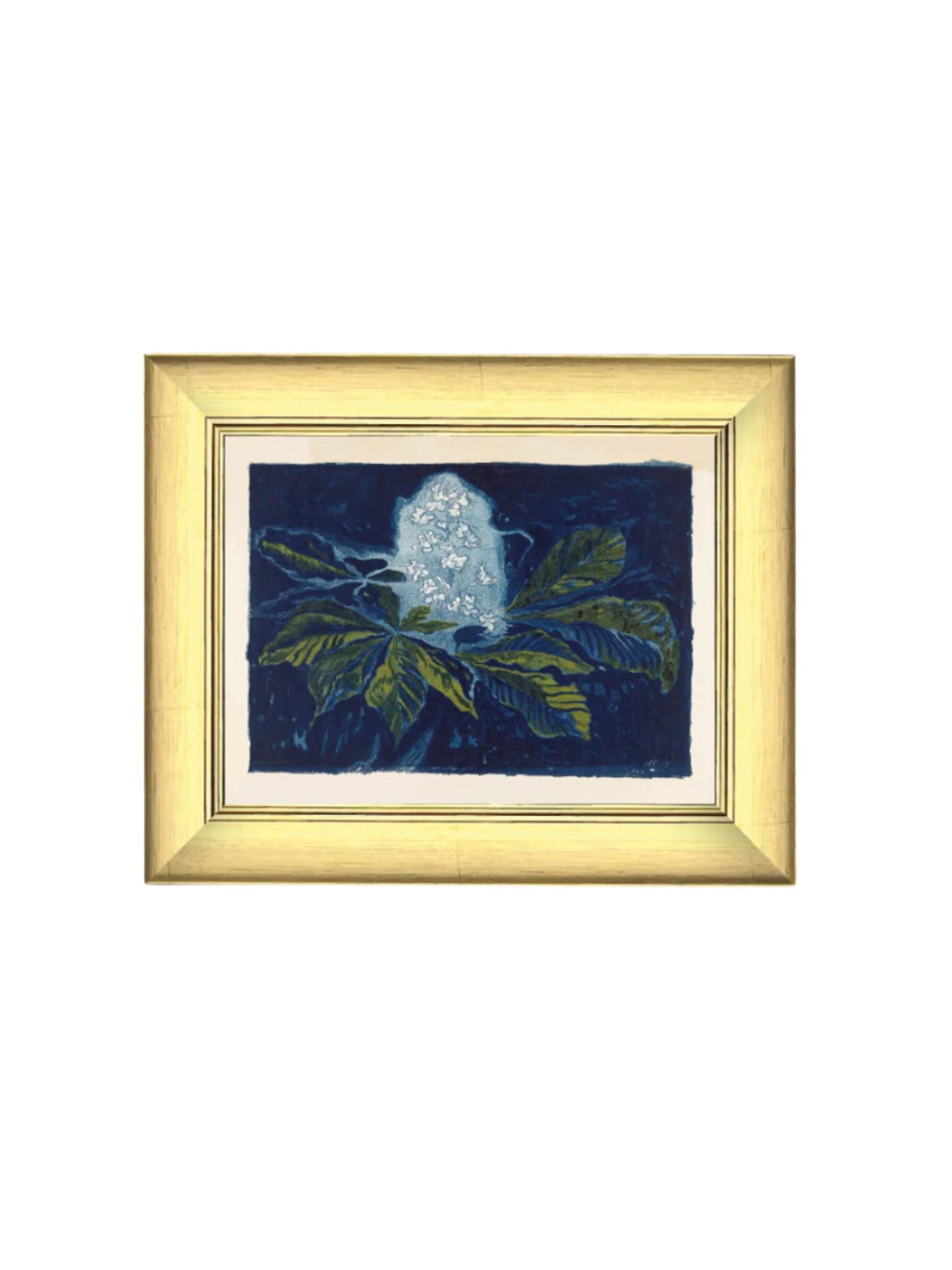 Chestnut Flower Framed Picture