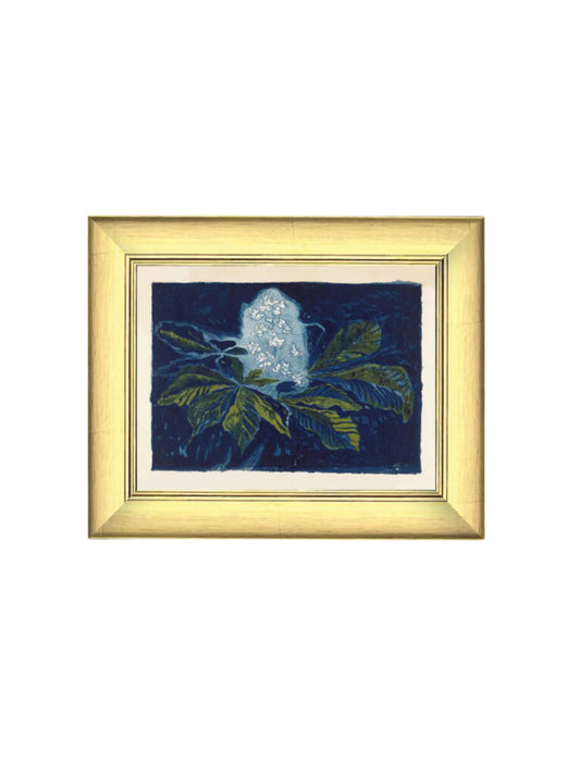 Chestnut Flower Framed Picture