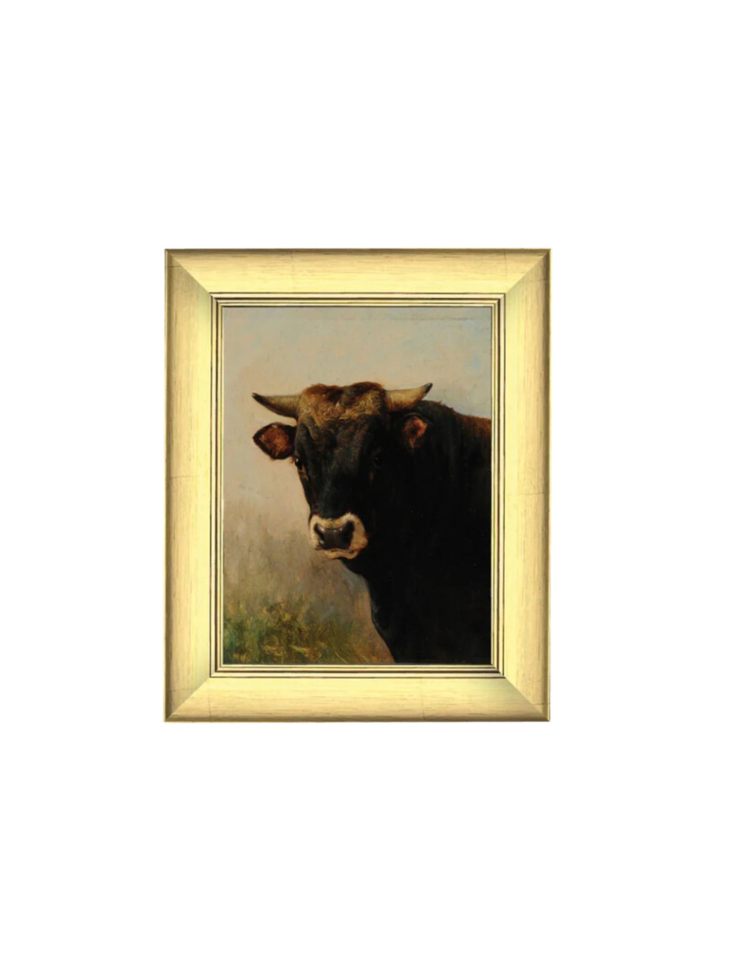 Black Ox Head Framed Picture