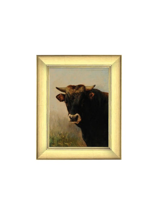 Black Ox Head Framed Picture