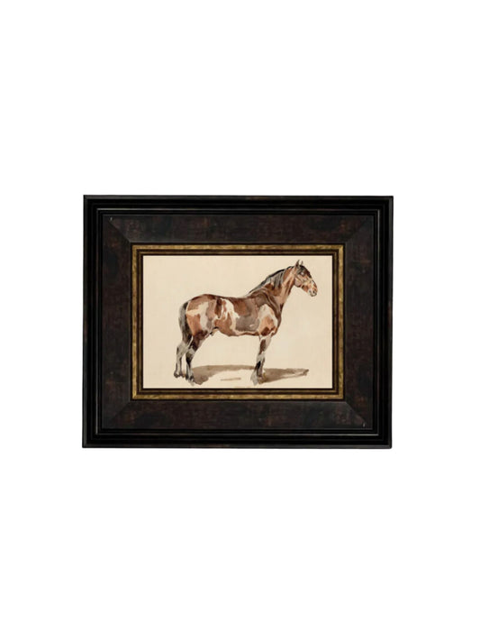 A Bay Horse Framed Picture