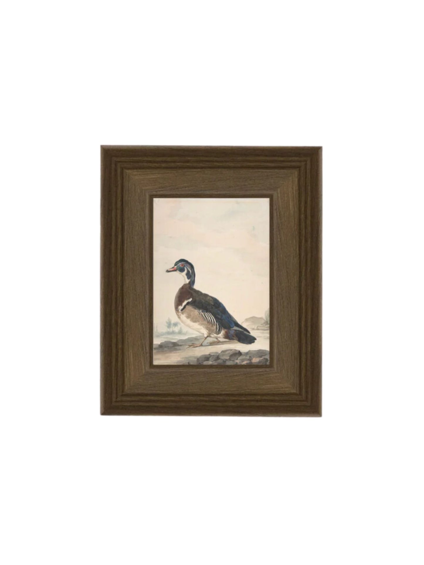 A Duck Framed Picture