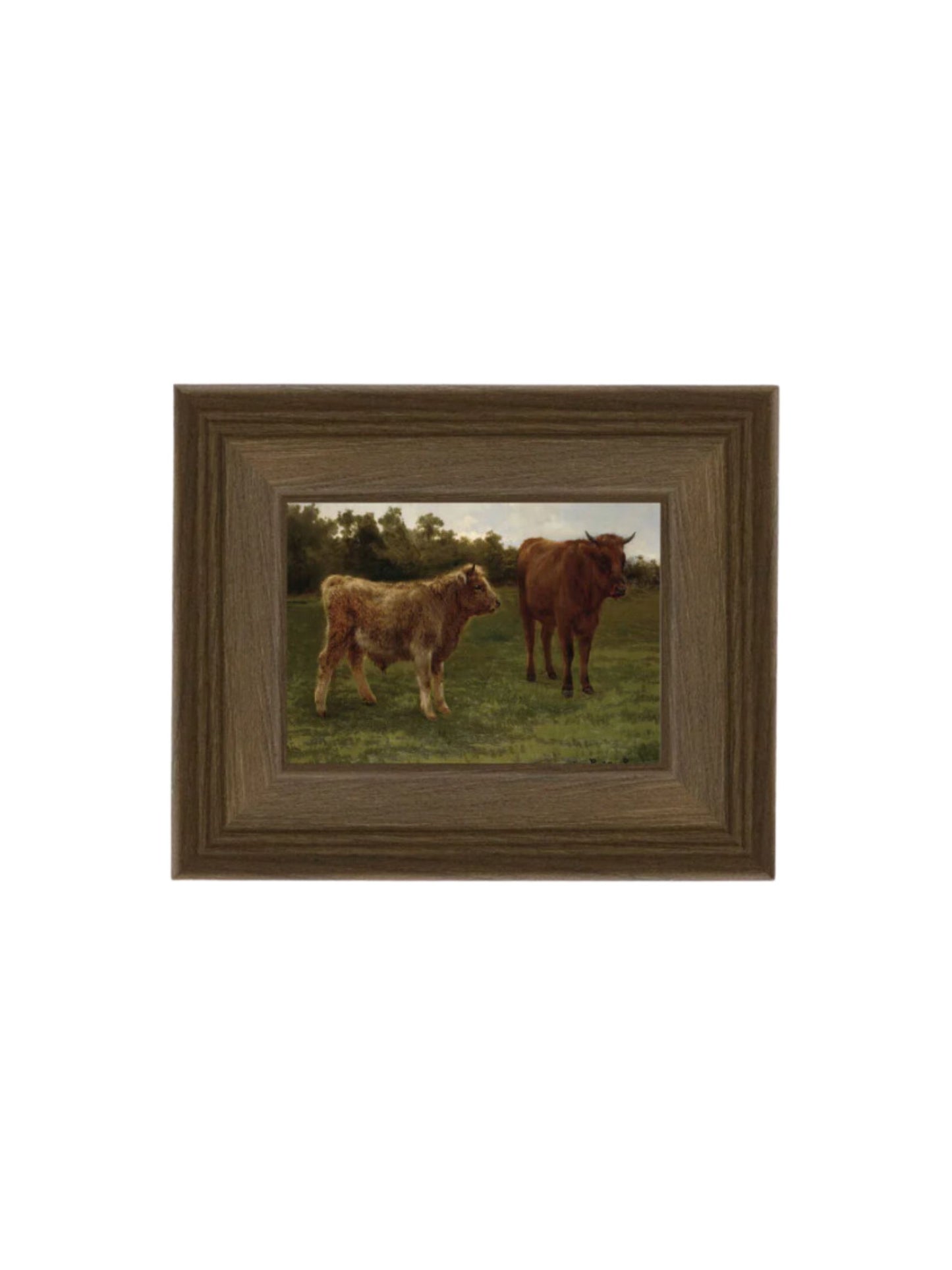 Two Cows Grazing Framed Picture