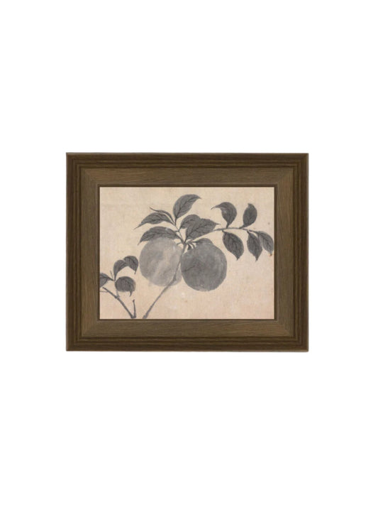Branch of Fruit Bearing Tree Framed Picture