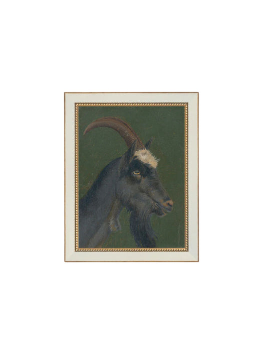 The Goat Framed Picture