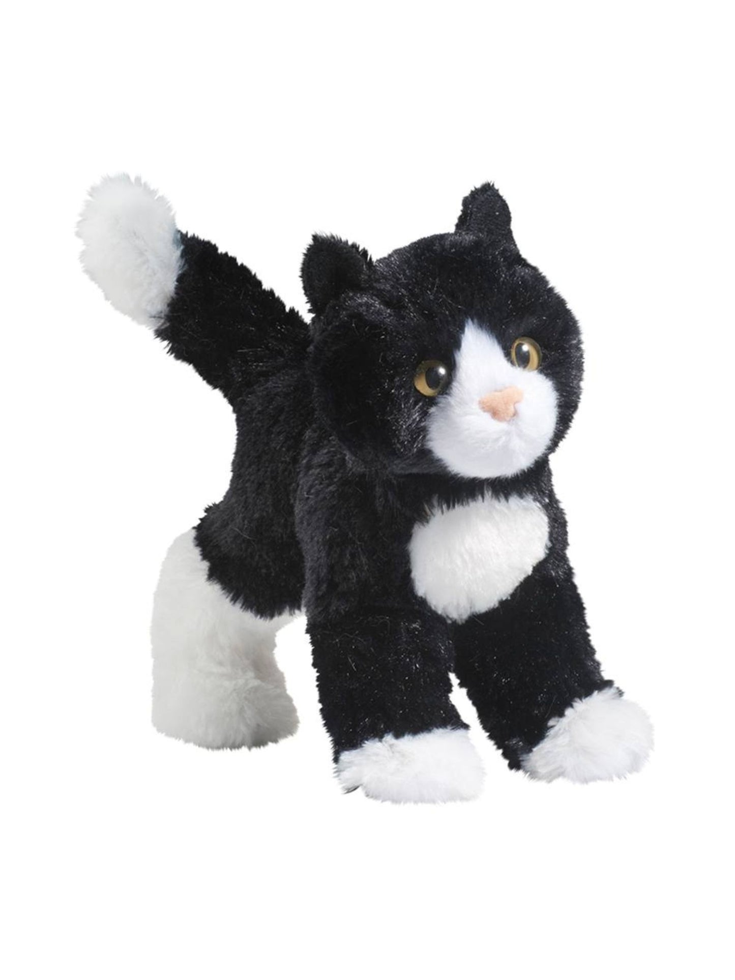 Snippy the Black & White Cat