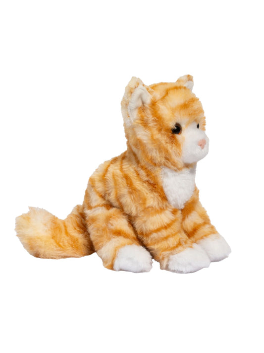 Gingie the Striped Cat