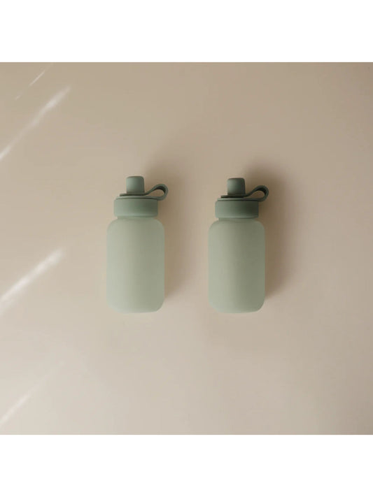 Silicone Puree Pouch 2-Pack