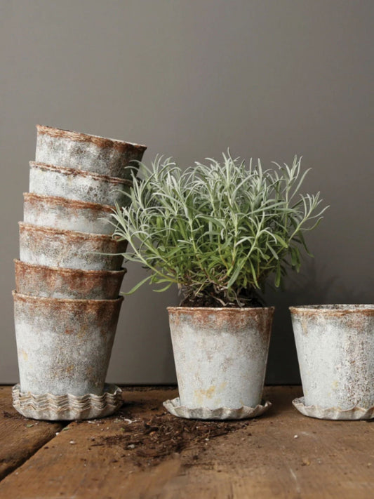 Distressed Metal Planter with Pleated Saucer