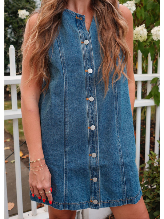 Clara Denim Button Down Dress