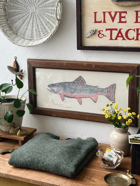 Vintage Large Trout Fish Picture - Pick Up Only
