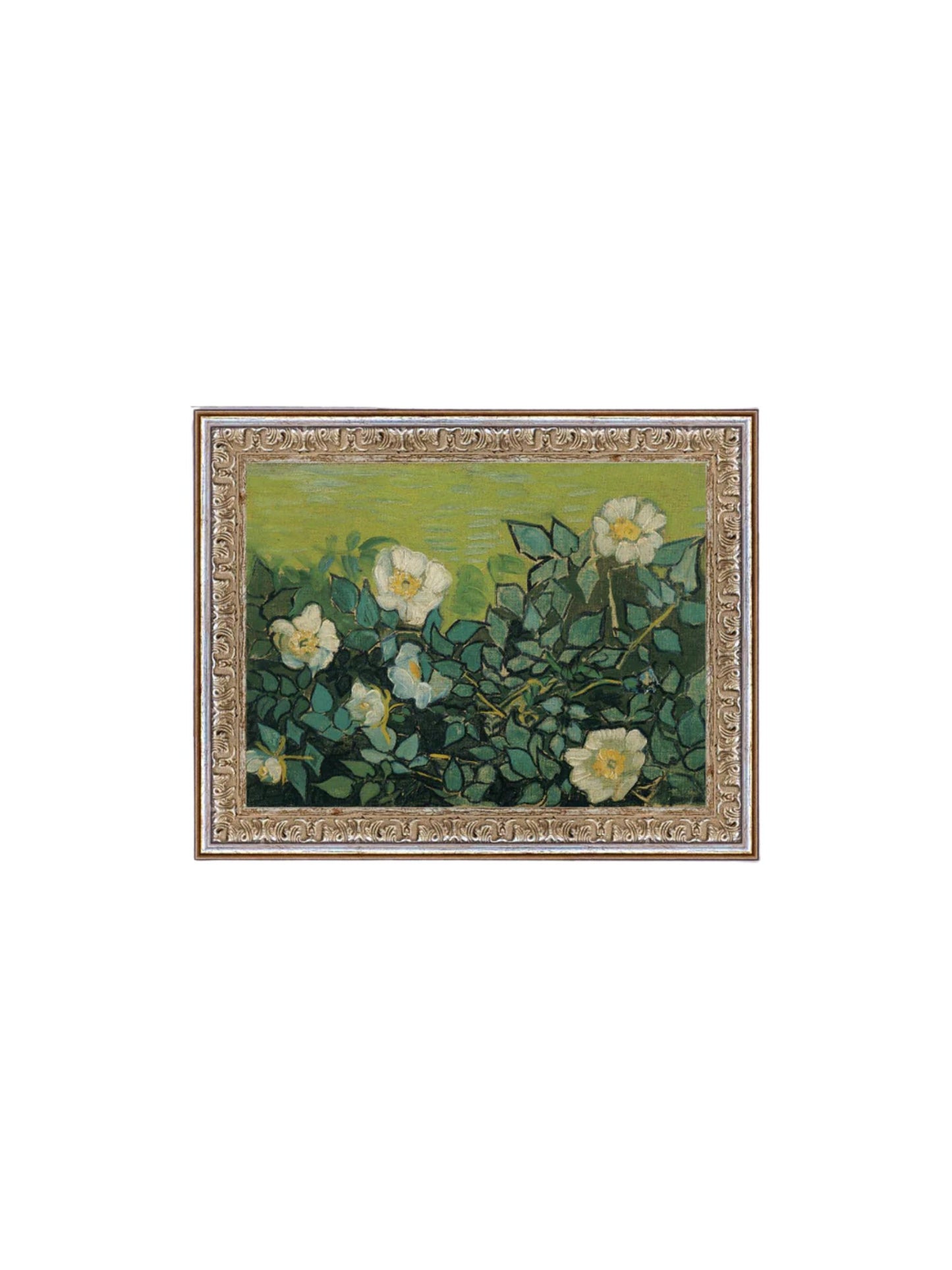 Wild Roses Framed Picture 10x8