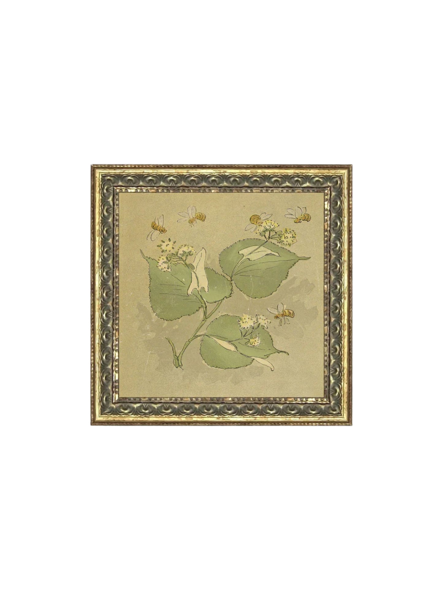 The Princess Flower Framed Picture 9x9