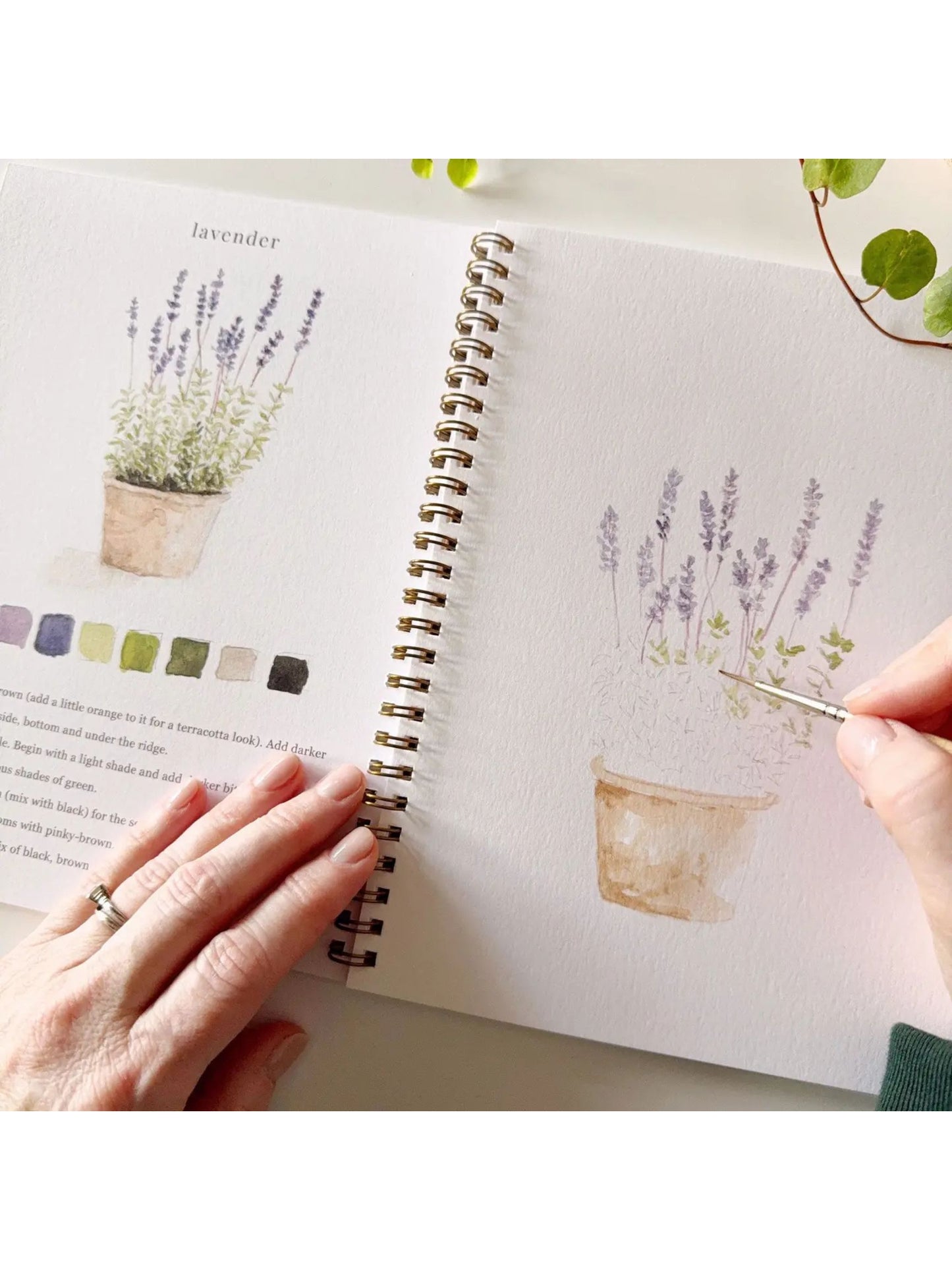 Garden Watercolor Workbook