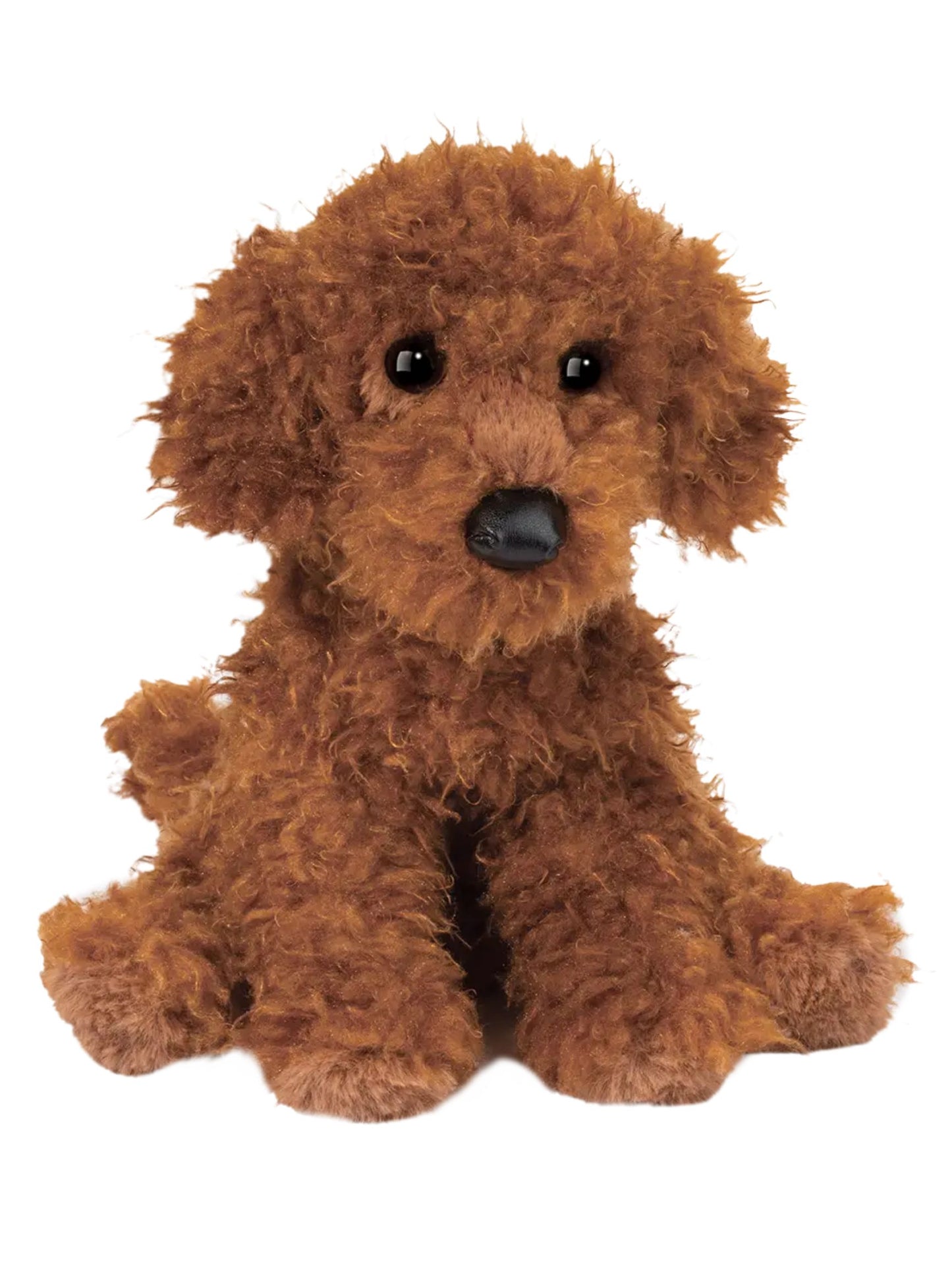 Ginger Miniature Poodle