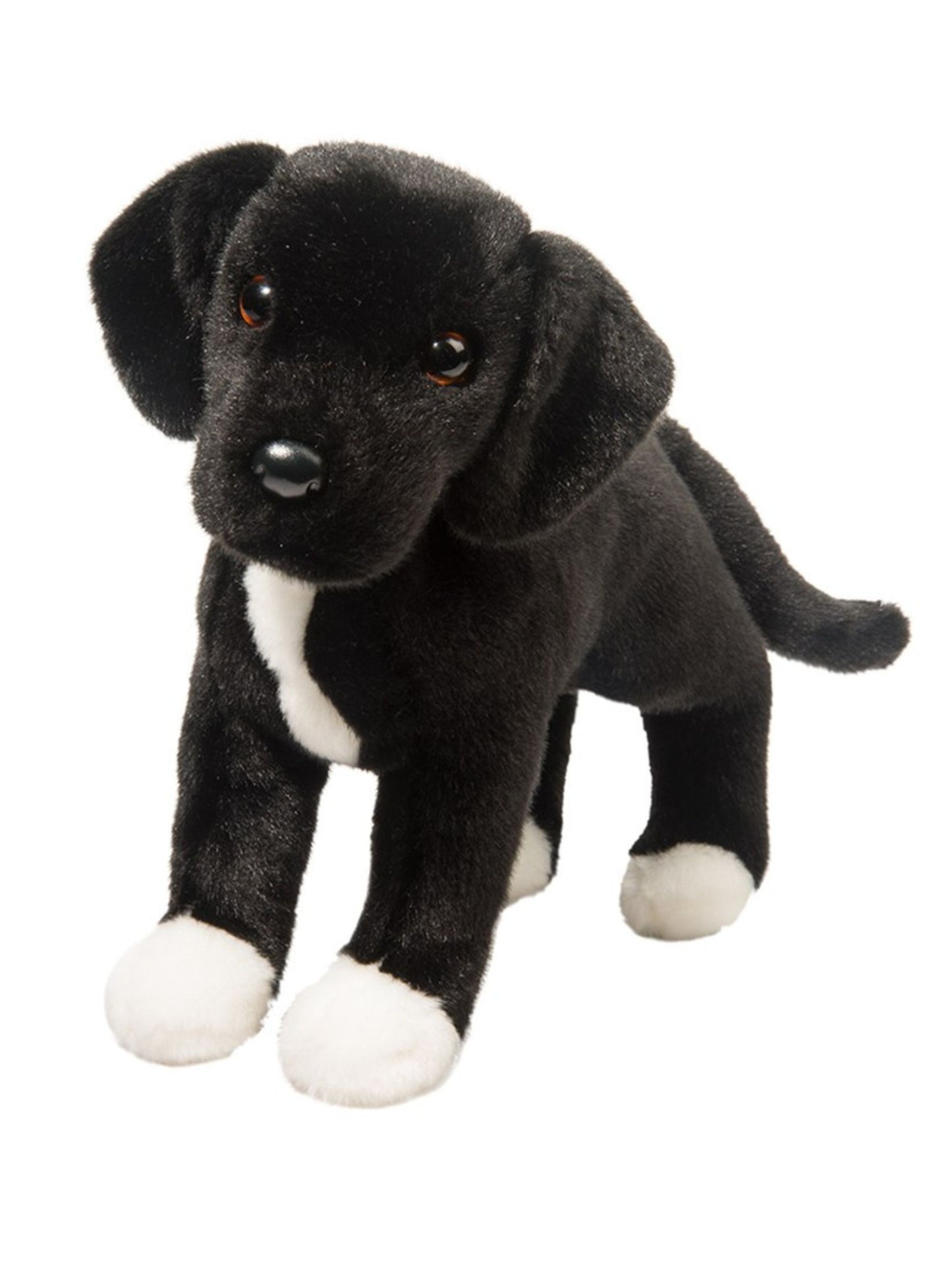 Twister Black Lab/Pit Bull Mix