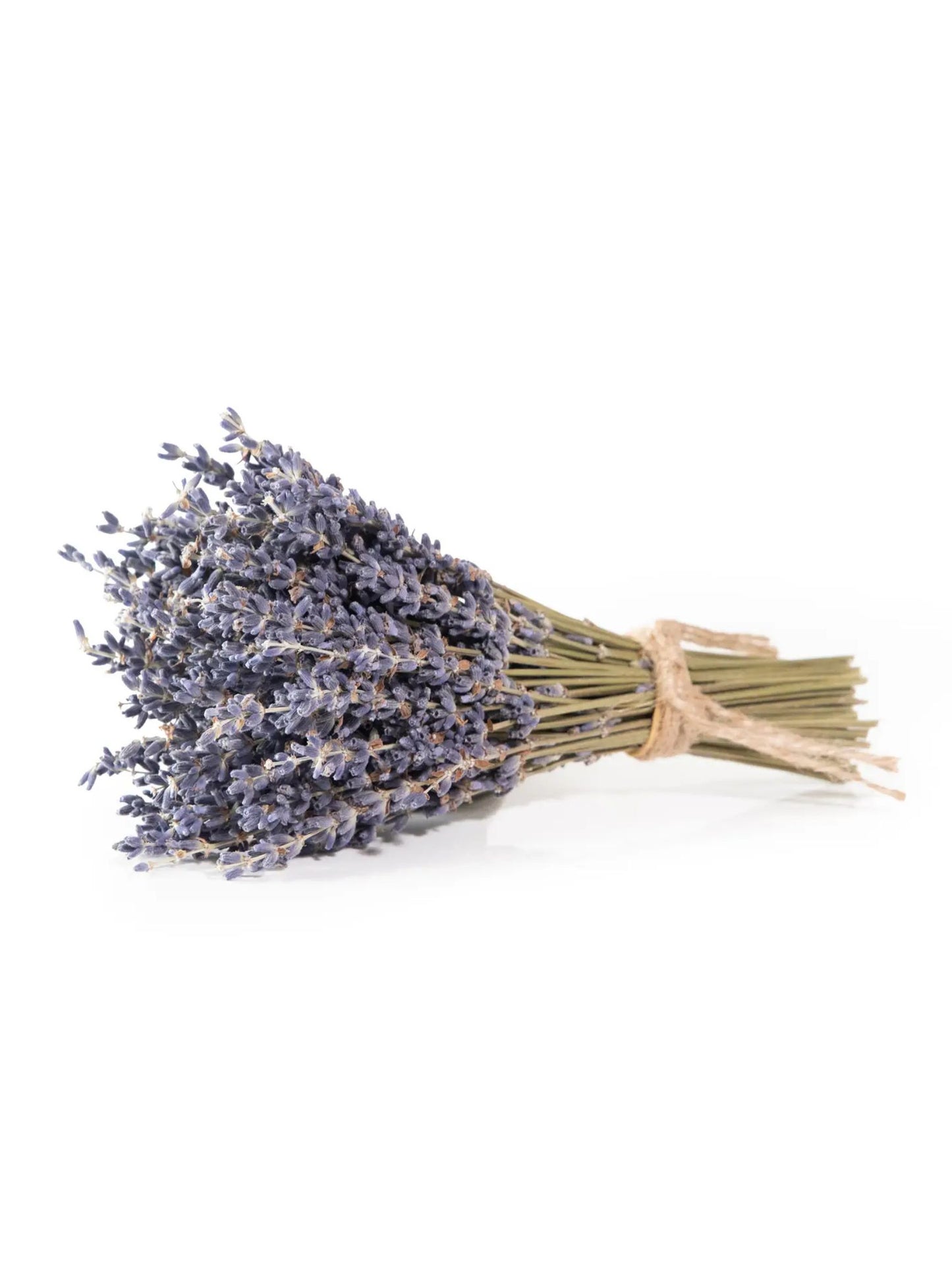 MINI French Lavender Bundle