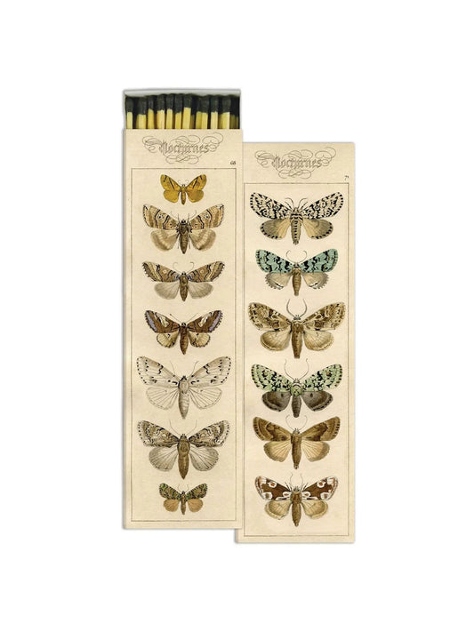 Matches - Moths