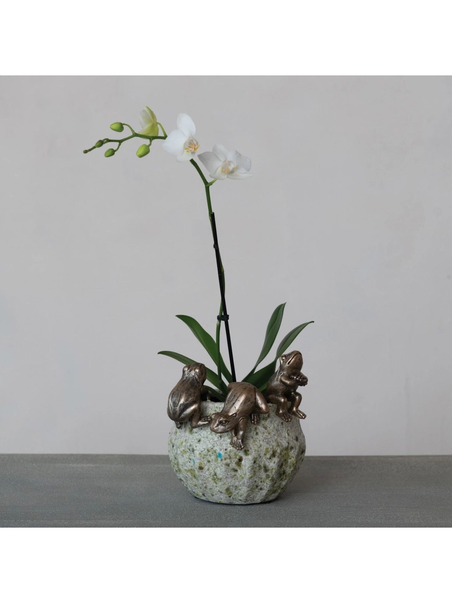 Resin Frog Pot Hanger - Distressed Gold Finish