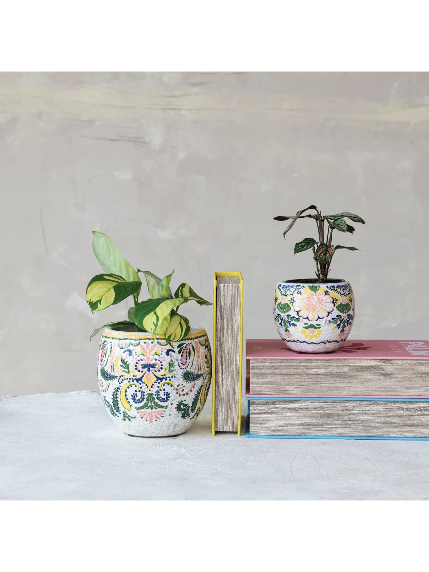 Terra-cotta Planter (Holds 7" Pot) - Pick Up Only