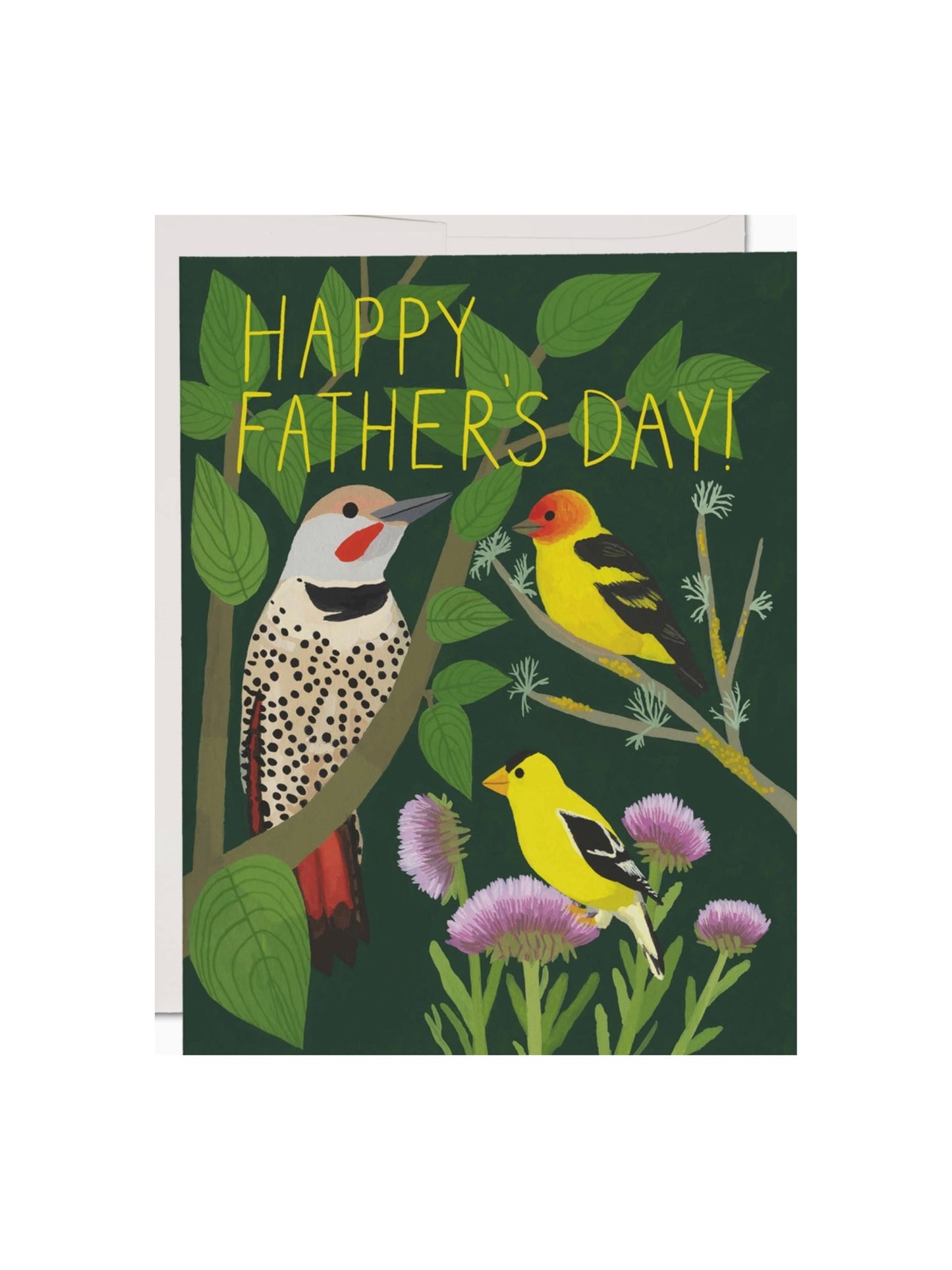 Bird Watching Card