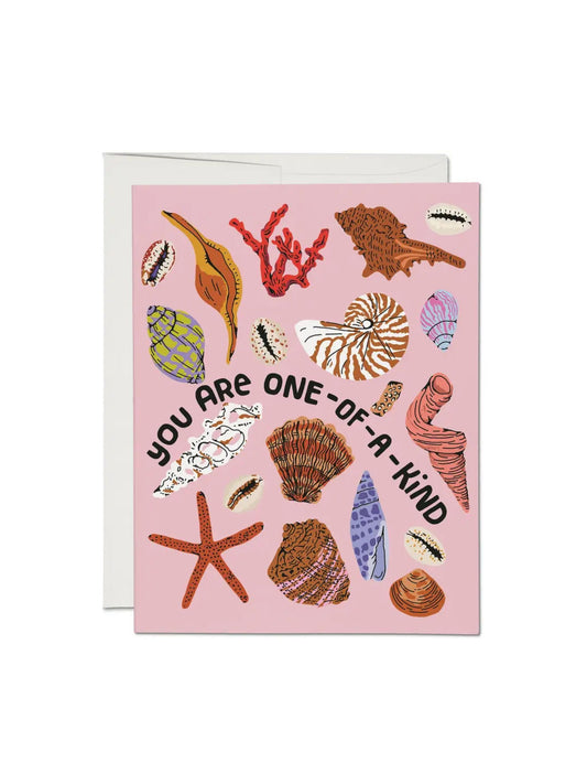 Special Seashell Card