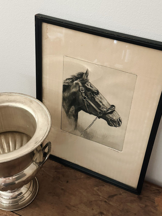 Vintage Framed Horse Sketch - Pick Up Only