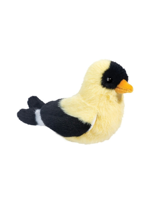 Faye the Goldfinch