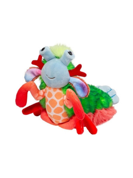 Punchie the Mantis Shrimp