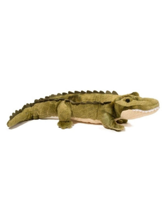 Streamline the Alligator